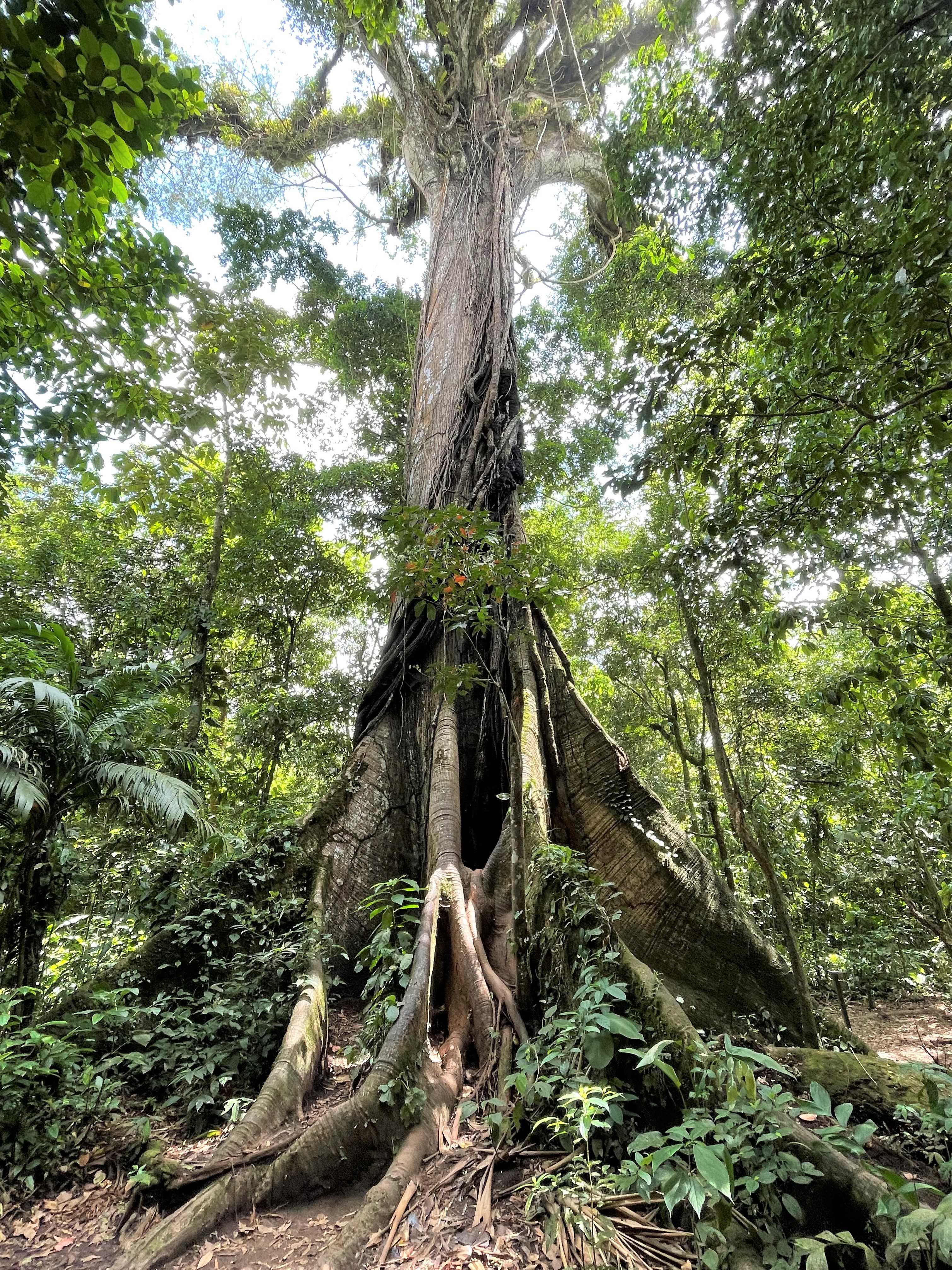 Costa Rica
